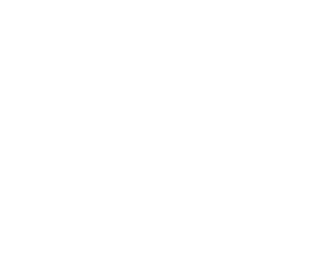 Digital Foresnsics-Blanco